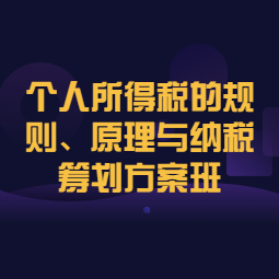 《个人所得税的规则、原理与纳税筹划方案班》