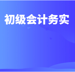 《初级会计务实》