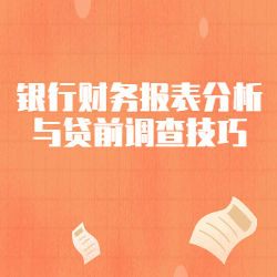 《银行财务报表分析与贷前调查技巧》