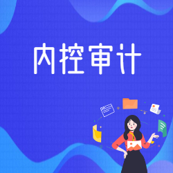 《内控审计》