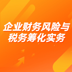 《企业财务风险与税务筹化实务》