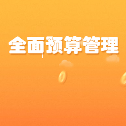 《全mian预算管理》