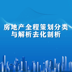 《房地产全程策划分类与解析》