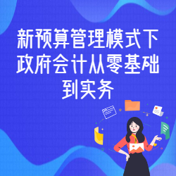 《新预算管理模式下政府会计从零基础到实务》
