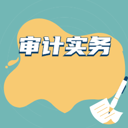 《审计实务》