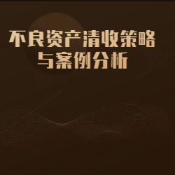 《不良资产清收策略与案例分析》