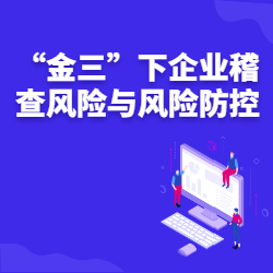 《“金三”下企业稽查风险与风险防控》
