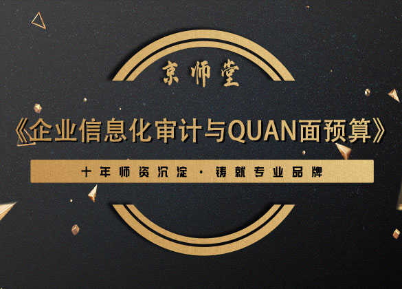 《企业信息化审计与quan面预算》