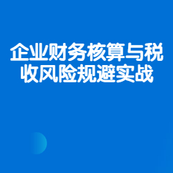 《企业财务核算与税收风险规避实战》