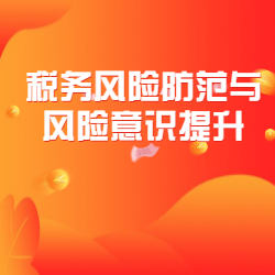 《税务风险防范与风险意识提升》