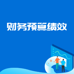 《全mian预算绩效管理》