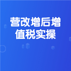 《营改增后增值税实操》