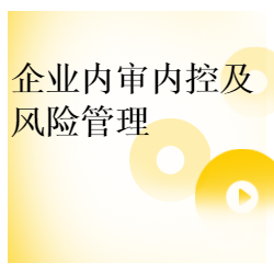 《企业内审内控及风险管理》