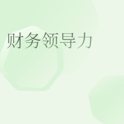 《财务领导力》