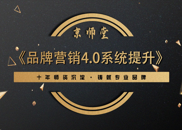《品牌营销4.0系统提升》