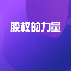 《股权的力量》