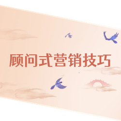《顾问式营销技巧》
