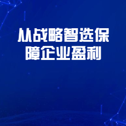 《从战略智选保障企业盈利》