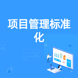 《项目管理标准化》