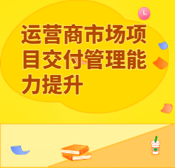 《运营商市场项目交付管理能力提升》