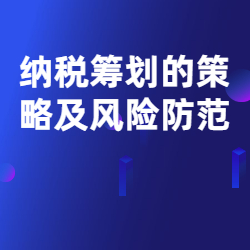 《纳税筹划的策略及风险防范》